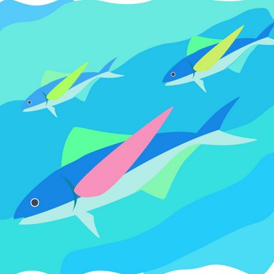 inapty's profile picture