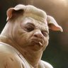 ElectroPig™ 🍁 的头像