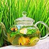 Profilbild von Ginger Tea