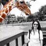 Susan Giles Wantuck profil fotoğrafı