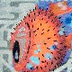 puffer2u profil fotoğrafı