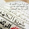 Profilbild von مرابطه في سبيل الله
