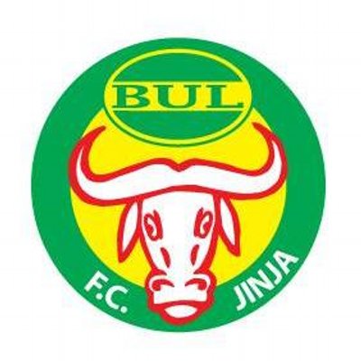 Bulfc1's profile picture