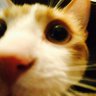 Profilbild von KTK
