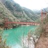 ほそみち(休眠5年経過・夏眠中/茶色担当)🐸💭🌼🍏🍙🇳🇷 profil fotoğrafı
