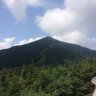 Scott 的头像