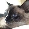 Profilbild von Joe Christman