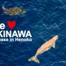 TOMOYAKITADA 的头像