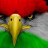 Фото профиля 007Kurdistan