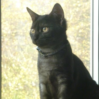 NorikoAtLondon's profile picture