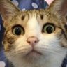 222222 profil fotoğrafı