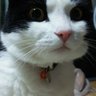 北風 profil fotoğrafı