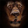 Profilbild von FightingBack