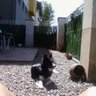 lolalá profil fotoğrafı