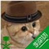 Fawaz's profile picture