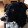 George's profile picture