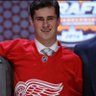 Fake Dylan Larkin's profile picture