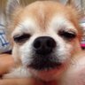 Yuna's profile picture