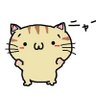 Profilbild von chan chan