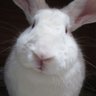 春之祐 profil fotoğrafı