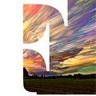 • F Cobo profil fotoğrafı