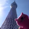 Фото профиля 田中さんから見た世界