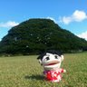 あか貝 profil fotoğrafı