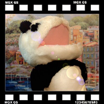 pantaism's profile picture