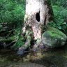 カヤックビルダーアベキヨ 的头像