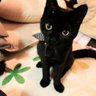 おぎちゃん's profile picture