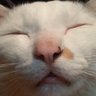 Profilbild von ðððãã£ãððð
