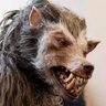 Techwolf Lupindo's profile picture