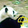 aka 的头像