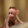 Nancysc's profile picture