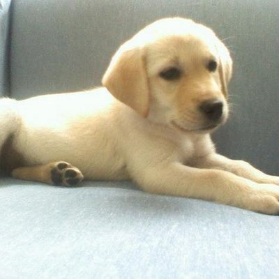 charlie19972's profile picture