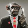 Profilbild von Arsenalist