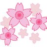 夜桜 profil fotoğrafı