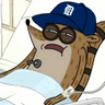 Fan of NFC North Champion Team's profile picture