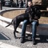  Patrizio Fabbi 's profile picture