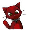 Petit Chat #Insoumis's profile picture