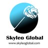 SkyleoGlobal.Web3's profile picture