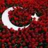 Gönülbahçesi 的头像