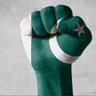 Raja Sohail.'s profile picture