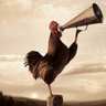 Elie Harfouche's profile picture