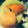 Profilbild von さにー