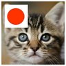 Profilbild von yaya0139