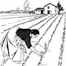 Pirandella Ge´'s profile picture