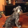 Chinita profil fotoğrafı