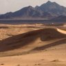 عبدالعزيز المتعب 的头像