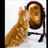 Bader profil fotoğrafı